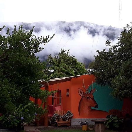 La Estacion Hostel ลาโกปวยโล ภายนอก รูปภาพ